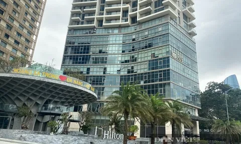 Ngoài chủ Bạch Đằng Complex còn những "ông lớn" nào nợ tiền tỷ BHXH Đà Nẵng kéo dài?