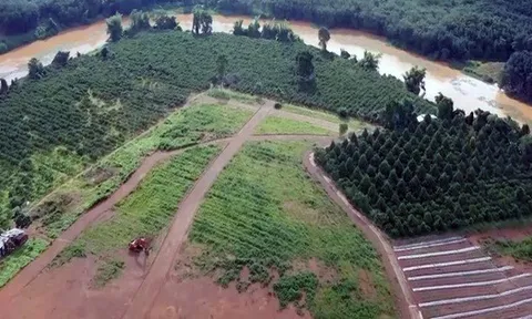 Bình Phước: Tự phân lô, quảng cáo bán đất nền trái phép, một cá nhân bị xử phạt