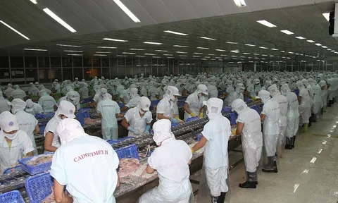 Một doanh nghiệp thủy sản lụi tàn vì gánh nặng nợ vay