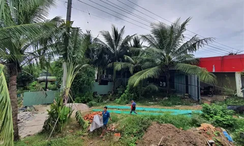Có cơ sở đề nghị Cơ quan Công an điều tra việc cấp sổ đỏ, giao dịch chuyển nhượng đất cho SASCO