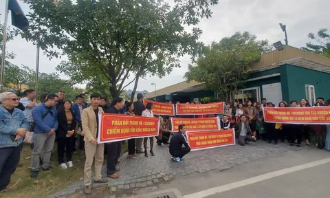 Các chủ nợ ở dự án Cocobay Đã Nẵng kiện công ty Thành Đô ra tòa