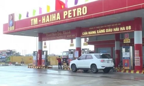 Công ty Hải Hà nợ thuế đầm đìa, Thanh tra Chính phủ đưa vào diện thanh tra