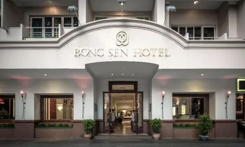 Chứng khoán VPS và mối liên quan tới Bông Sen Corp – doanh nghiệp liên quan đến các lô trái phiếu nghìn tỷ