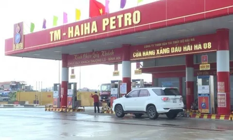 “Xông xênh” chi 2.000 tỷ cho vay, đầu tư đến ngày đáo hạn 3.000 tỷ, Vận tải thủy bộ Hải Hà vẫn nợ thuế khủng