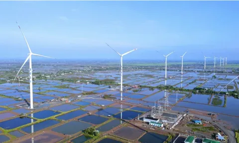 Kosy mới chỉ thực hiện được 7,6% kế hoạch lợi nhuận sau nửa năm