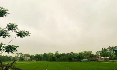 Hà Nam: Tiến độ thi công “ỳ ạch”, vì sao Tổng Công ty Hải Sơn - Tổng Công ty 86 vẫn liên tiếp trúng nhiều gói thầu lớn?