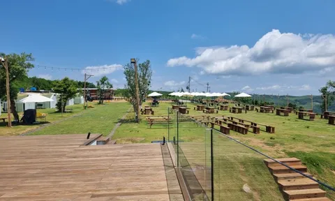 "Cương quyết cưỡng chế khu du lịch Sky Panorama xây dựng trên đất rừng trồng"