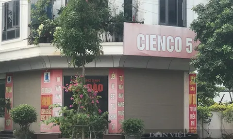 Khu đô thị Thanh Hà Cienco 5 dừng xây dựng nhiều năm, giá đất vẫn “tăng vọt”