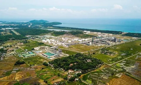 Kê khai sai thuế, một công ty ở Quảng Ngãi phải nộp vào ngân sách hơn 600 triệu