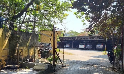 Thanh Hóa: Cần sớm có phương án sử dụng gần 1.200 m2 “đất vàng” của Công ty Sông Mã