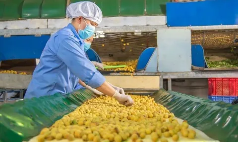 Nhịp đập Thị trường 18/10: Cổ phiếu thực phẩm, đồ uống bứt tốc