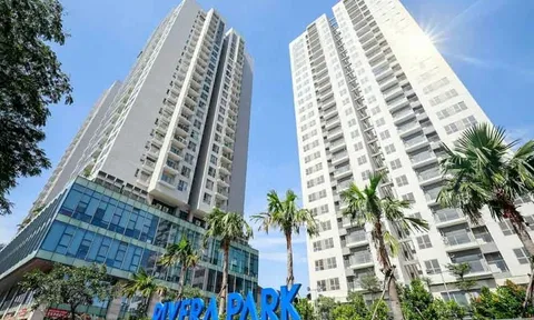 TP HCM chỉ đạo khẩn về chung cư Rivera Park Sài Gòn