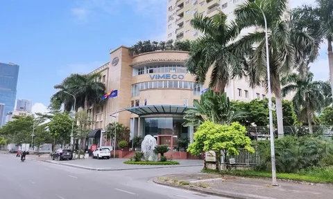 "Nội soi" sức khoẻ tài chính của Công ty CP Vimeco