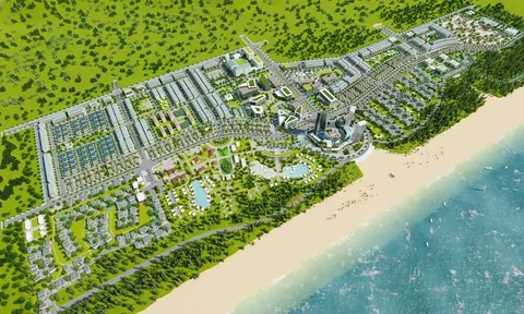 Thanh Hóa: Dừng triển khai một tuyến kè đê biển để ưu tiên thực hiện dự án của Tập đoàn T&T