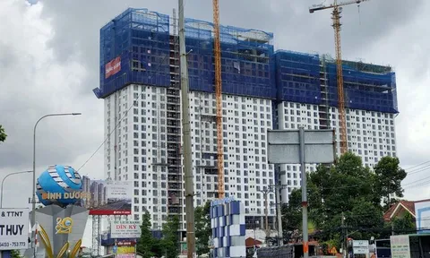 Bình Dương: Thanh tra dự án của Công ty Á Châu và Công ty Tường Phong