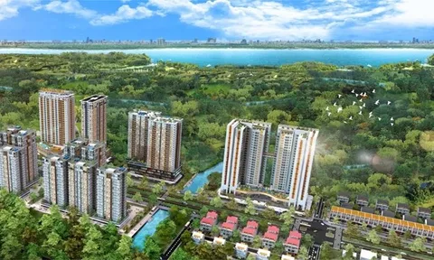 Kinh doanh ‘bọt bèo’, Địa ốc Phú Long lấy tiền đâu để thanh toán hàng nghìn tỷ đồng trái phiếu sắp đáo hạn?