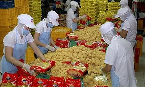 Safoco nâng lỗ lũy kế lên gần 196 tỷ đồng