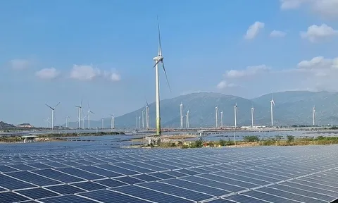 Năng lượng Tái tạo Trung Nam phát hành thành công 500 tỷ đồng trái phiếu