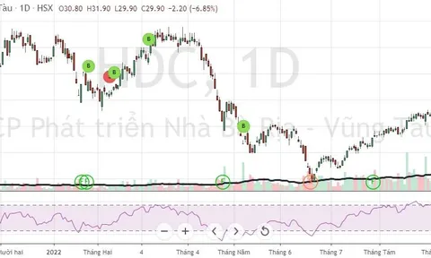 Hodeco: Lãnh đạo và tổ chức liên quan lại bị bán giải chấp