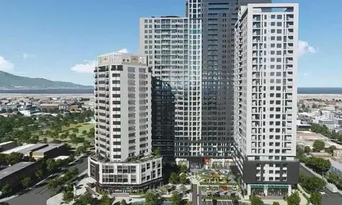 Lãnh đạo bị bắt tạm giam, NDN làm ăn ra sao?