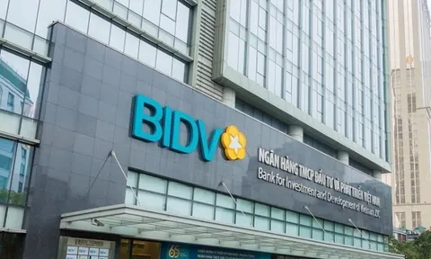 Nguy cơ "mất trắng" hàng trăm tỷ của Agribank, BIDV, Vietcombank tại doanh nghiệp sắp phá sản Cadovimex