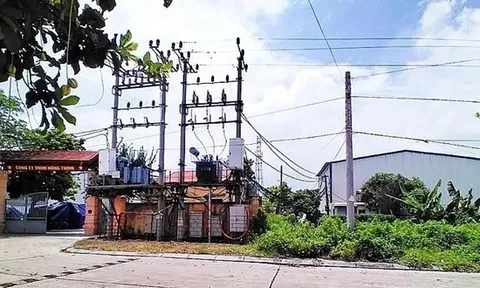 Vi phạm tại Công ty Hồng Thịnh kéo dài nhiều năm, chưa được xử lý dứt điểm