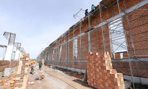 Công ty thép Tuấn Cường xây dựng không phép