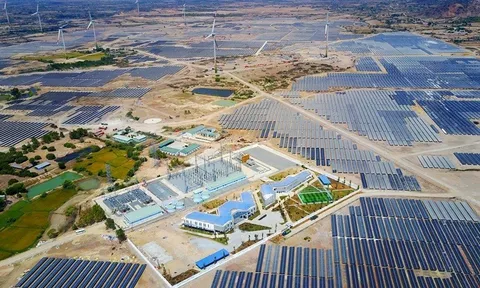 Nhóm Trung Nam Group đã “dồn dập” huy động hàng chục nghìn tỷ đồng trái phiếu như thế nào?