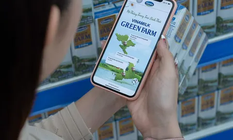 VINAMILK: doanh thu quý III/2022 ổn định, dòng tiền từ hoạt động kinh doanh cải thiện