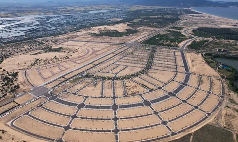 Bài 9: Phát Đạt nói gì về phản ánh của khách hàng tại Nhơn Hội New City?
