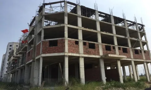 Công ty STO bị Phú Gia Thịnh tố làm trái quyết định của Thanh tra Quảng Nam