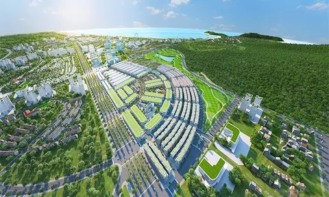 BĐS Phát Đạt doanh thu èo uột, dòng tiền kinh doanh âm hàng nghìn tỷ đồng