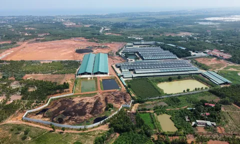 Quảng Bình: Ngang nhiên xây dựng công trình trái phép khi chưa chuyển đổi mục đích sử dụng đất