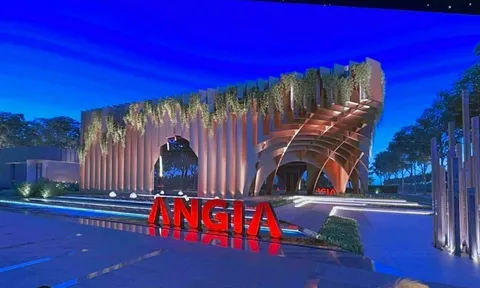 An Gia Group: Áp lực đến từ khoản nợ vay hơn 800 tỷ đồng đến hạn phải trả và 1.240 tỷ đồng trái phiếu đã đáo hạn