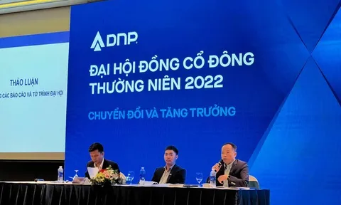 DNP Holding: Dòng tiền âm kỷ lục 427,7 tỷ đồng từ năm 2005 tới nay