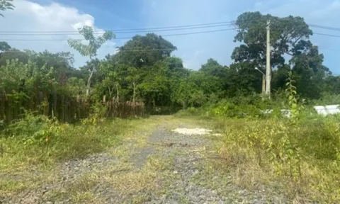 Xác minh vụ Công ty APEC Land bị tố "vẽ" dự án bán cho người dân