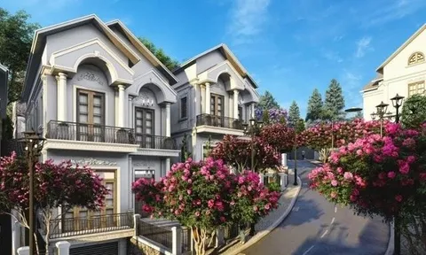 Kiến Vàng Invest rút bớt tài sản đảm bảo cho 2 lô trái phiếu