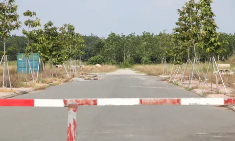 Vụ lừa bán đất dự án Bình Dương: 210 đơn tố giác bị chiếm đoạt 160 tỉ đồng