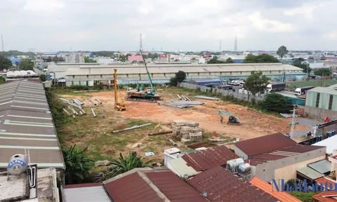 Sở Xây dựng Bình Dương 'kêu khó' xử lý những dự án bán 'lúa non'