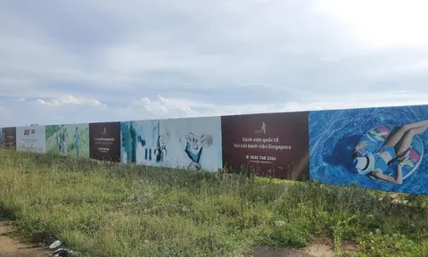Bên trong dự án nghìn tỷ Vườn Phượng Hoàng thành bãi chăn bò ở Phú Yên