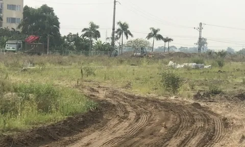 Hộp thư bạn đọc ngày 8/11: Sai phạm tại Khu đấu giá 31ha, Dự án Văn Phú - Invest Yên Phong?