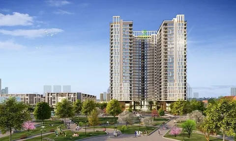 CEN Invest bị tố liên tục chậm bàn giao căn hộ Bình Minh Garden