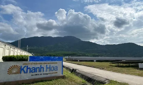 Nhiều dự án điện mặt trời ở Khánh Hoà hoạt động 'chui'