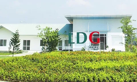 Nhà đầu tư mất niềm tin khi cổ phiếu LDG lao dốc