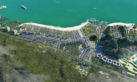 Quảng Ninh thu hồi, hủy bỏ quyết định chấp thuận chủ trương dự án tổ hợp nghỉ dưỡng của CEO Group