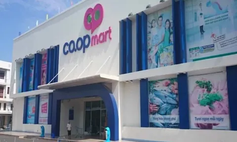 Thanh tra Chính phủ phát hiện sai phạm tại dự án Siêu thị Co.op Mart Kon Tum