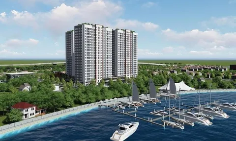 SAM Holdings (SAM): Cổ phiếu giảm 77,3%, tổ chức liên quan lãnh đạo không mua hết lượng đăng ký do "điều kiện thị trường chưa thuận lợi"