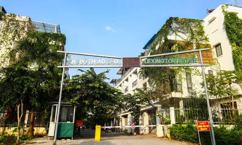 Hà Nội thanh tra toàn diện khu đô thị Ao Sào của Công ty Lũng lô 5