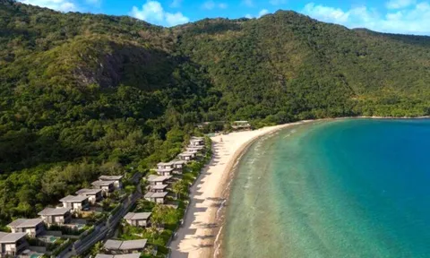 Yêu cầu làm rõ vụ chuyển đổi đất rừng làm dự án đẹp nhất huyện Côn Đảo