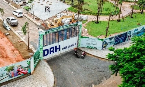 Chủ tịch DRH Holdings chỉ mua một nửa số cổ phiếu đã đăng ký